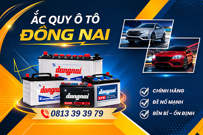 Ắc quy &ocirc; t&ocirc; Đồng Nai