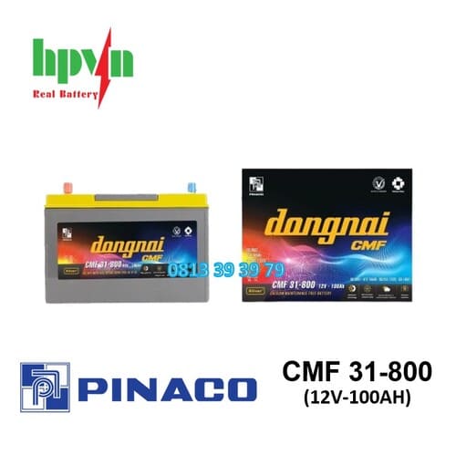Ắc Quy Đồng Nai 31-800 (12V-100Ah)